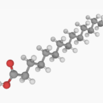 Myristic acid molecular model