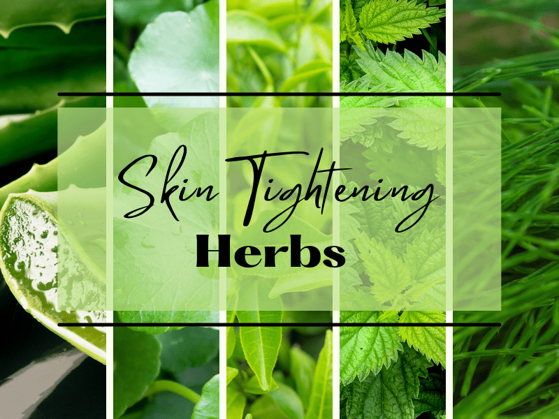 Skin Tightening Herb Aloe Vera, gotu kola, green tea, nettles, horsetail