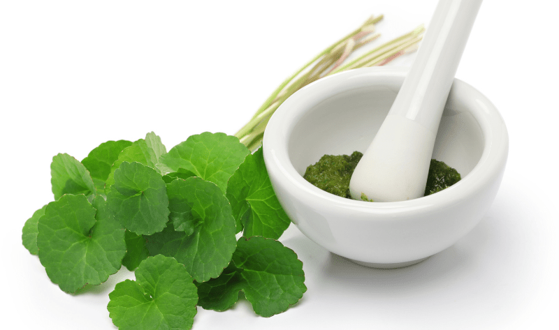 Skin Tightening Herb: Gotu Kola