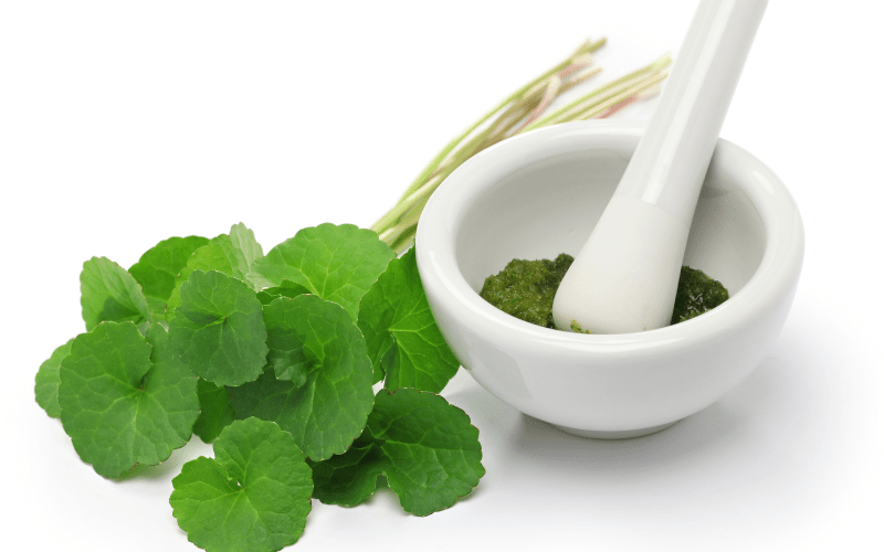 Skin Tightening Herb: Gotu Kola